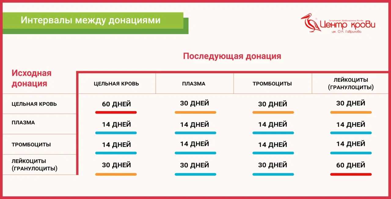 Инфографика